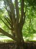 DSC01451.jpg