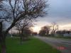 DSC01593_1.jpg