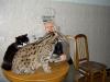 Файл=PICT7809.JPG
Объём=36KB
Размеры=500x375
Дата=Июнь 14, 2006 PICT7809.JPG