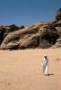Файл=wadirum1.jpg
Объём=106KB
Размеры=444x650
Дата=Сент 14, 2006 wadirum1.jpg