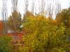 DSC02059.jpg
