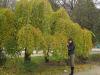 DSC021477.jpg