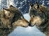 Файл=картинка_(1098).gif
Объём=40KB
Размеры=200x150
Дата=Авг 19, 2008 картинка_(1098).gif